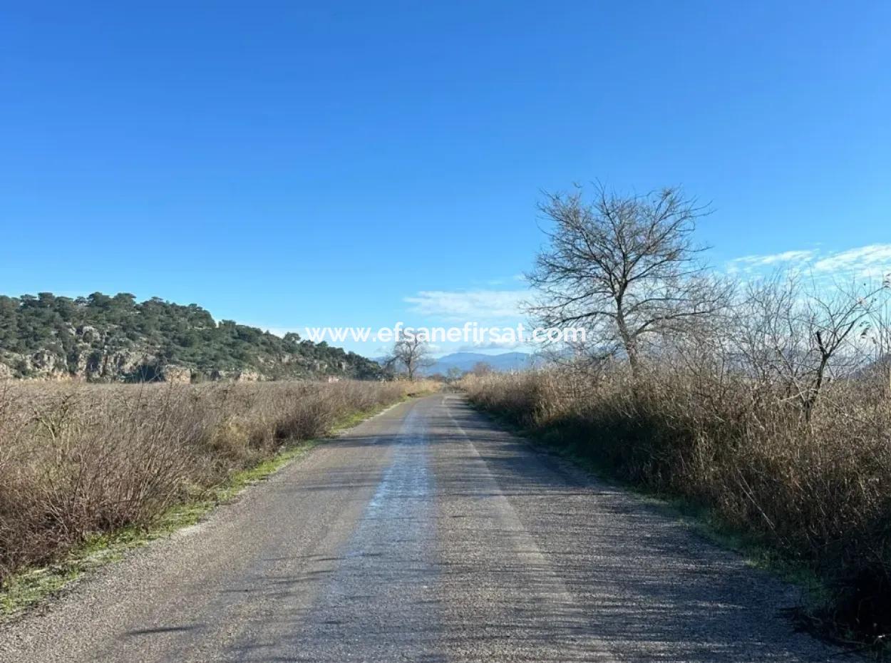 Felder, Die Für Eine Genossenschaft In Ortaca Güzelyurt Geeignet Sind, Stehen Zum Verkauf
