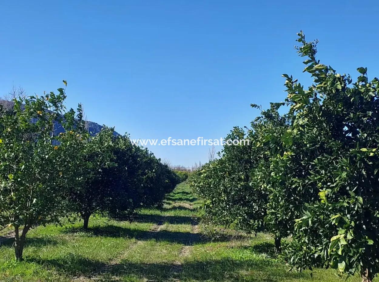 500 M² Land Geeignet Für Investitionen In Muğla Ortaca Okçular Zu Verkaufen