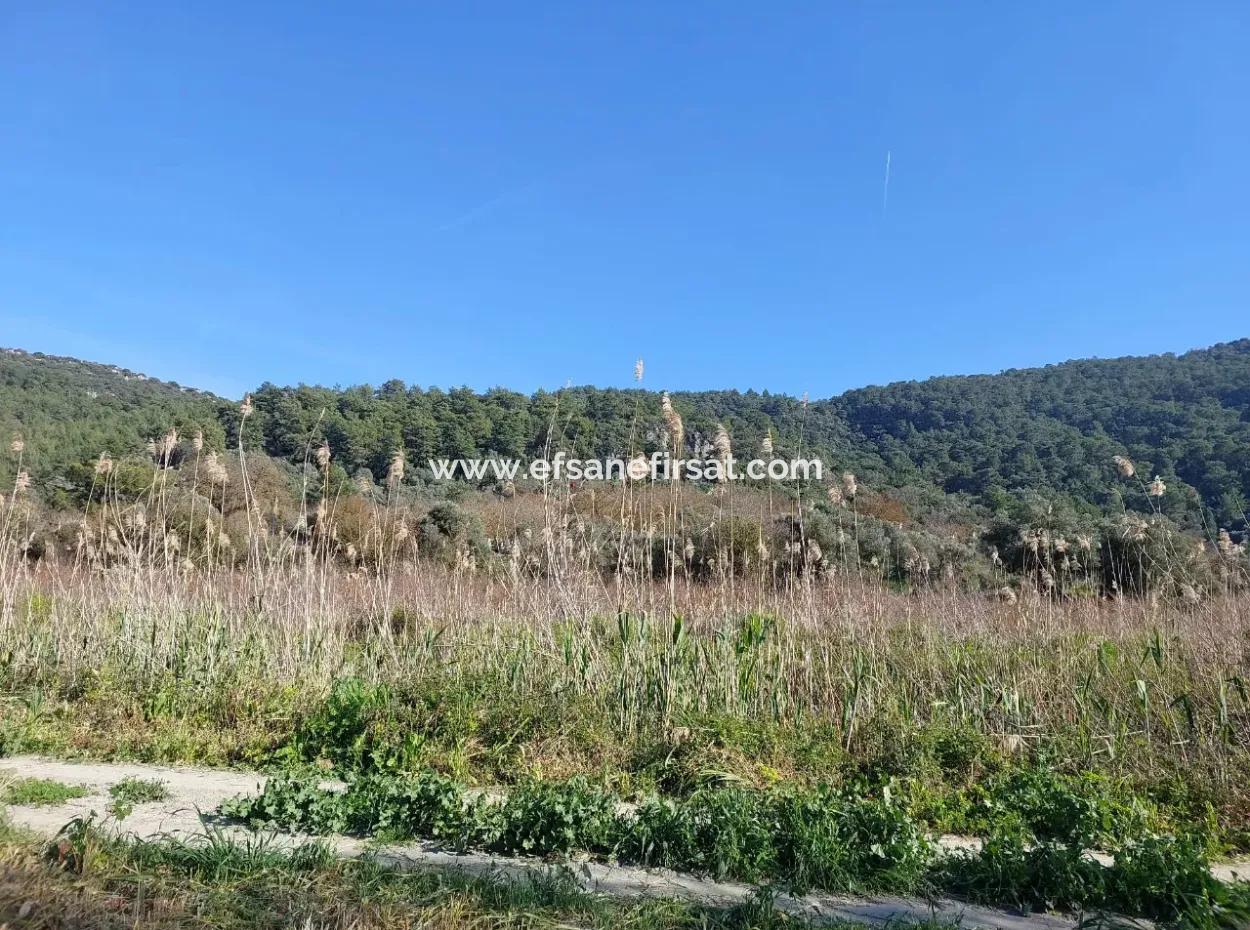 Fruchtbares 6.350 M2 Land Zum Verkauf In Muğla Ortaca Güzelyurt
