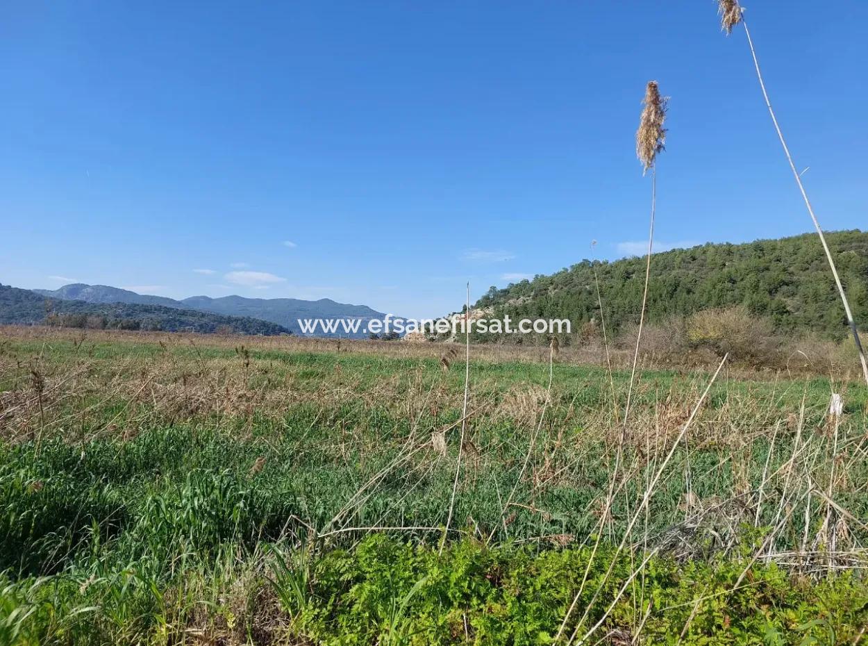 Fruchtbares 6.350 M2 Land Zum Verkauf In Muğla Ortaca Güzelyurt