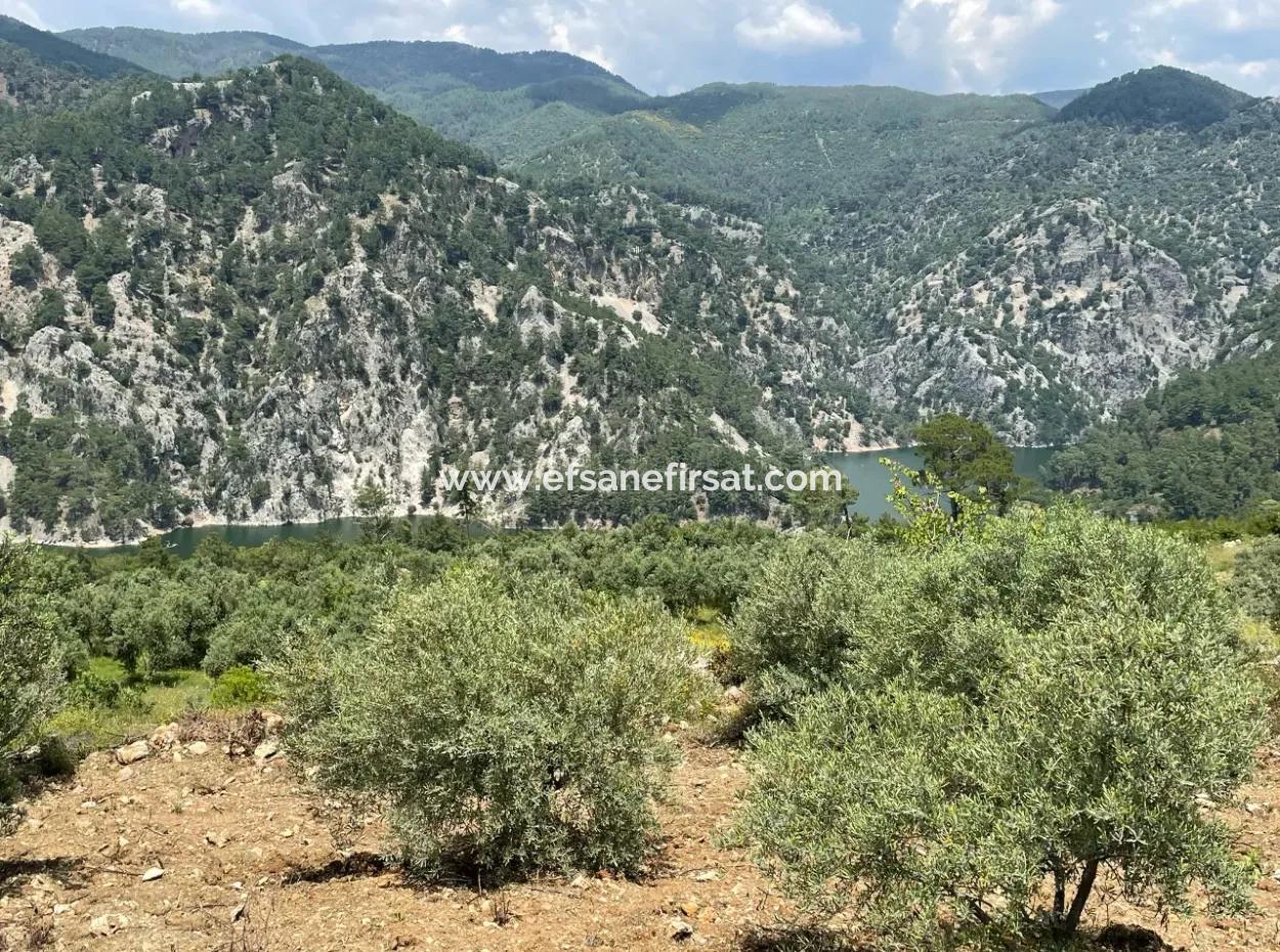 Dalaman, 500M2 Auf Der Seite Des Bozbel-Staudamms