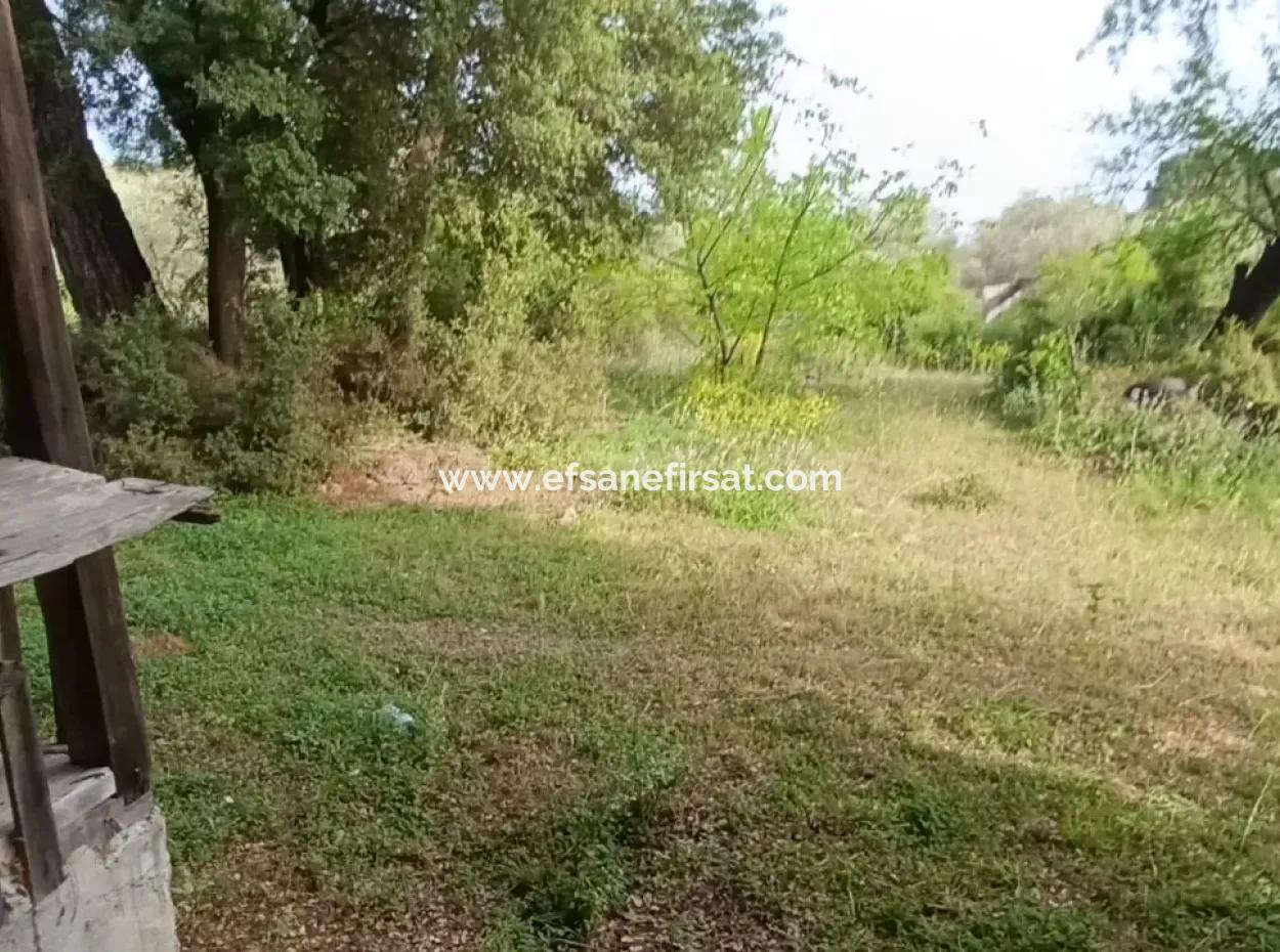 1228 M2 Grundstück Und Kargir Haus Zu Verkaufen In Muğla Menteşe Yaraş, Dorf In Dorf.   