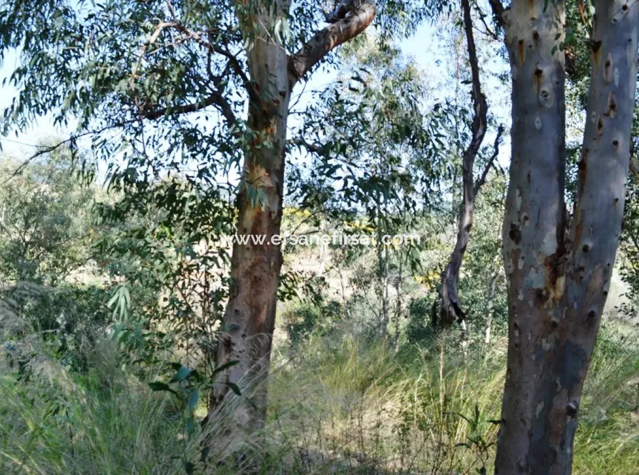 6 165 M2, 18 Villen Zoniertes Land, Das Für Den Massenwohnungsbau In Dalaman Geeignet Ist, Werden Im Gegenzug Für Stockwerke Vergeben