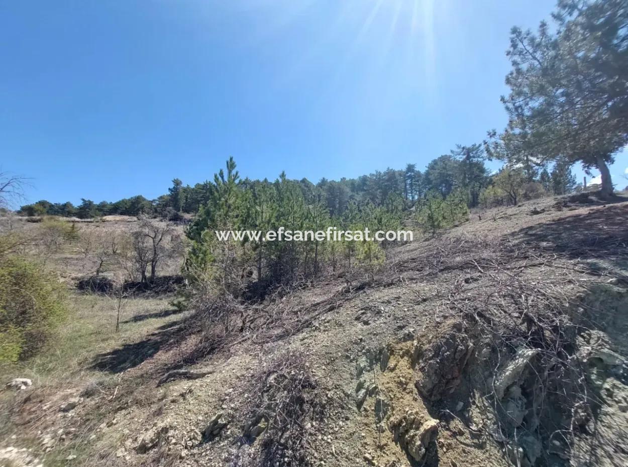 Schnäppchengrundstück Zum Verkauf In Çameli Gökçeyaka 1 844 M2 Freistehendes Grundstück Zum Verkauf.