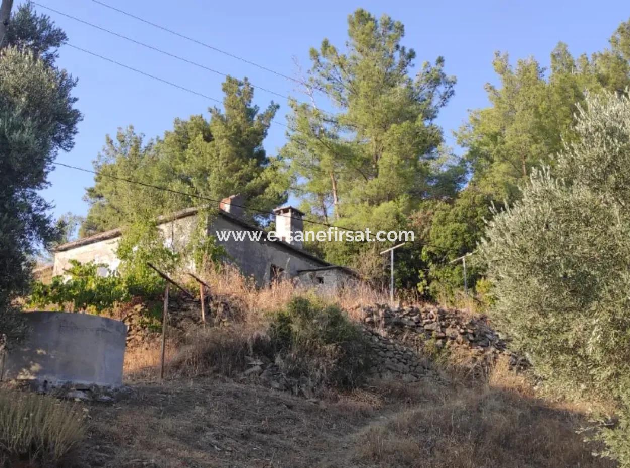 Muğla, Dalaman, Elcik 1 100 M2, Freistehendes Grundstück, 60 M2 Dorfhaus Zu Verkaufen