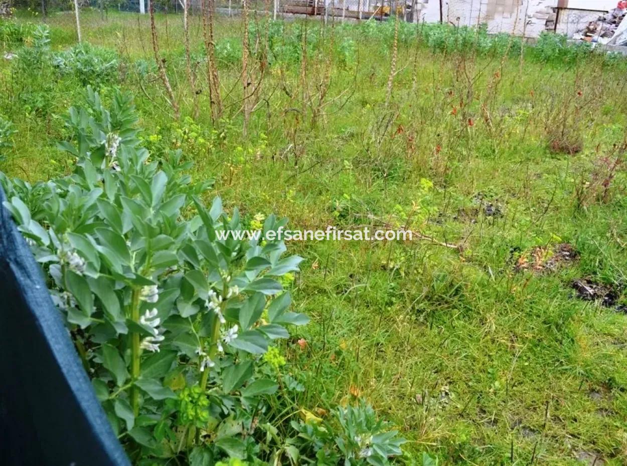 Für Verkauf Freistehendes Haus Guzelyurt Dorf Ta