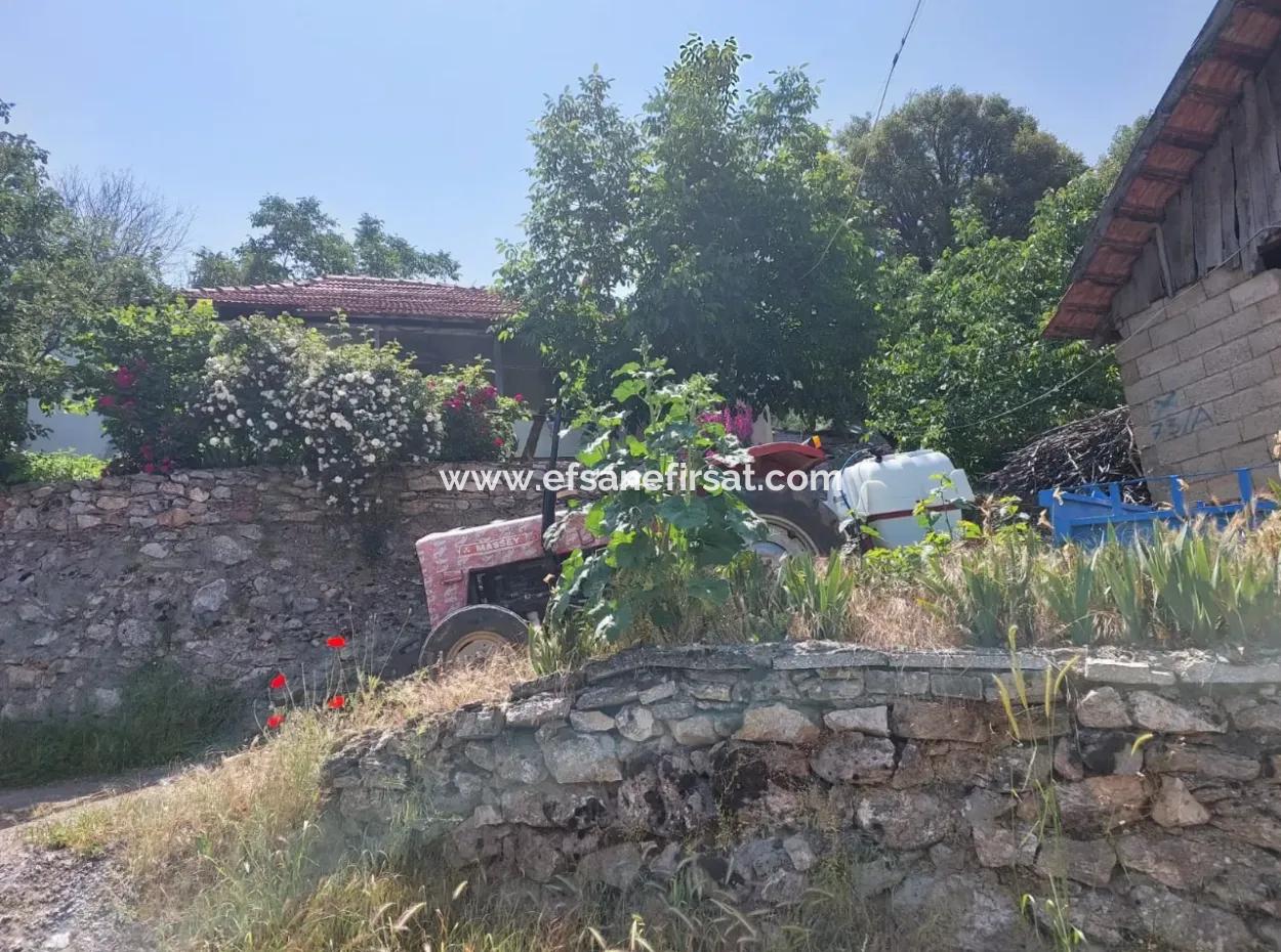 2500 M2 Freistehende 2 Häuser Und Scheunen, Lager Zum Verkauf In Çameli Kızılyaka