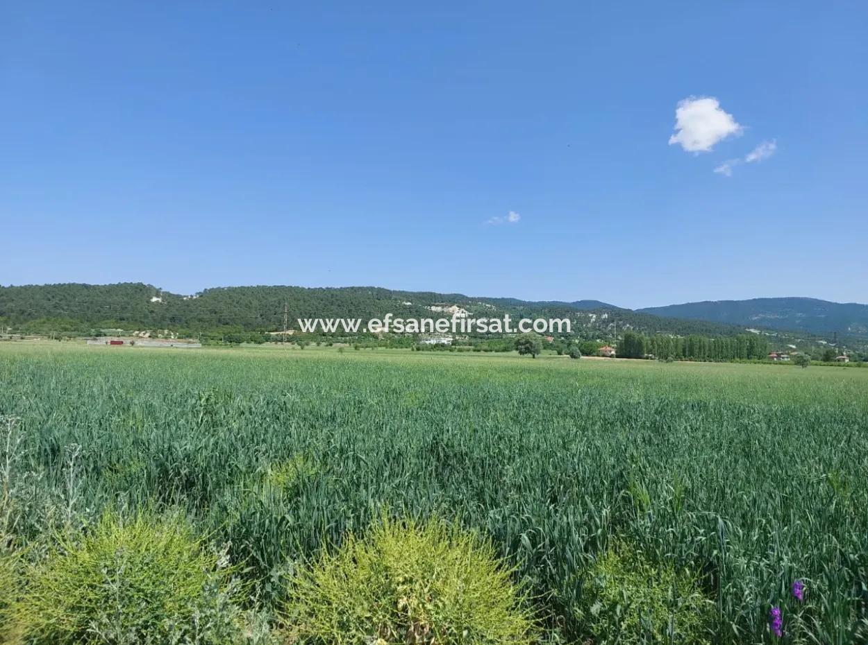 Schnäppchengrundstück Zum Verkauf In Çameli Bıçakçı – 5.333 M² Freistehende Eigentumsurkunde
