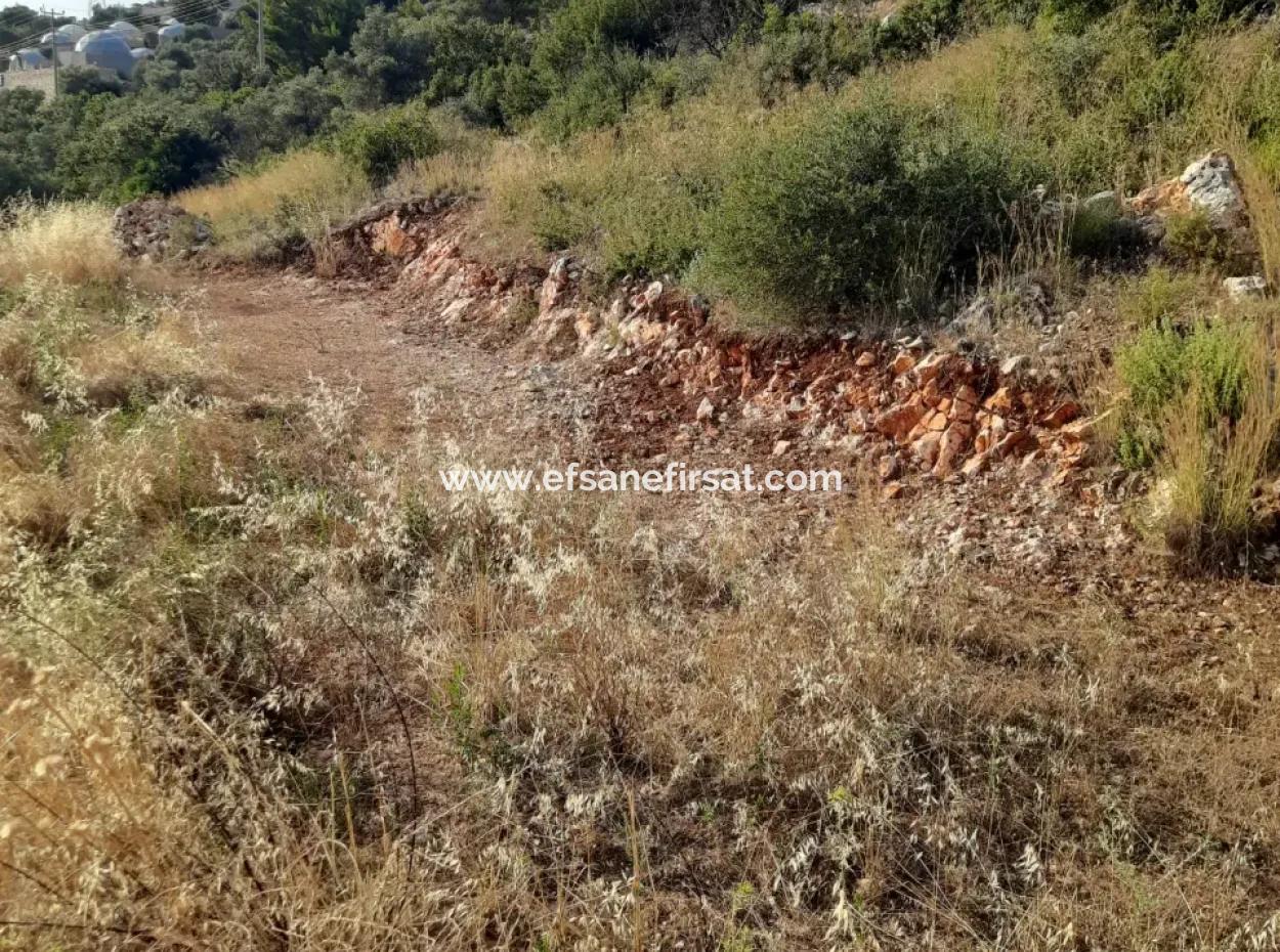 12 300 M2 Land Geeignet Für Investitionen Zum Verkauf In Antalya Kaş Kalkan Islam