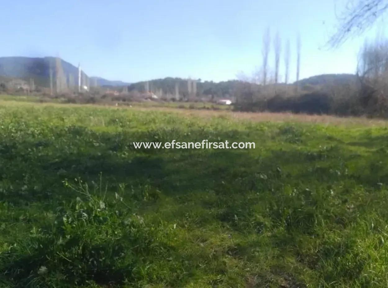 Land Zum Verkauf In Bargain Detached Zeytinalani