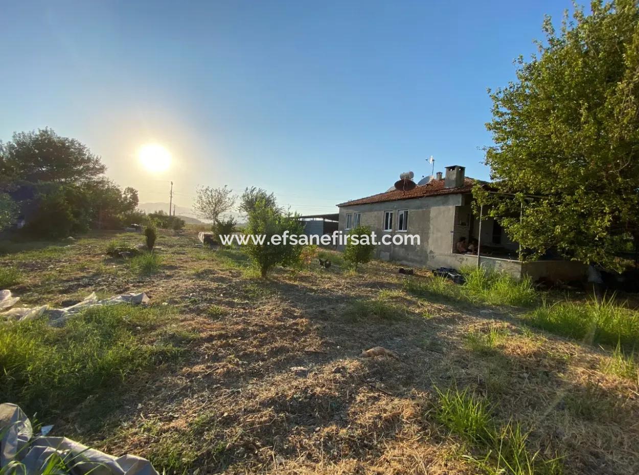 Einfamilienhaus Und Gewächshaus Zum Verkauf Auf Einem 5200 M2 Großen Feld In Ortaca Eskiköy