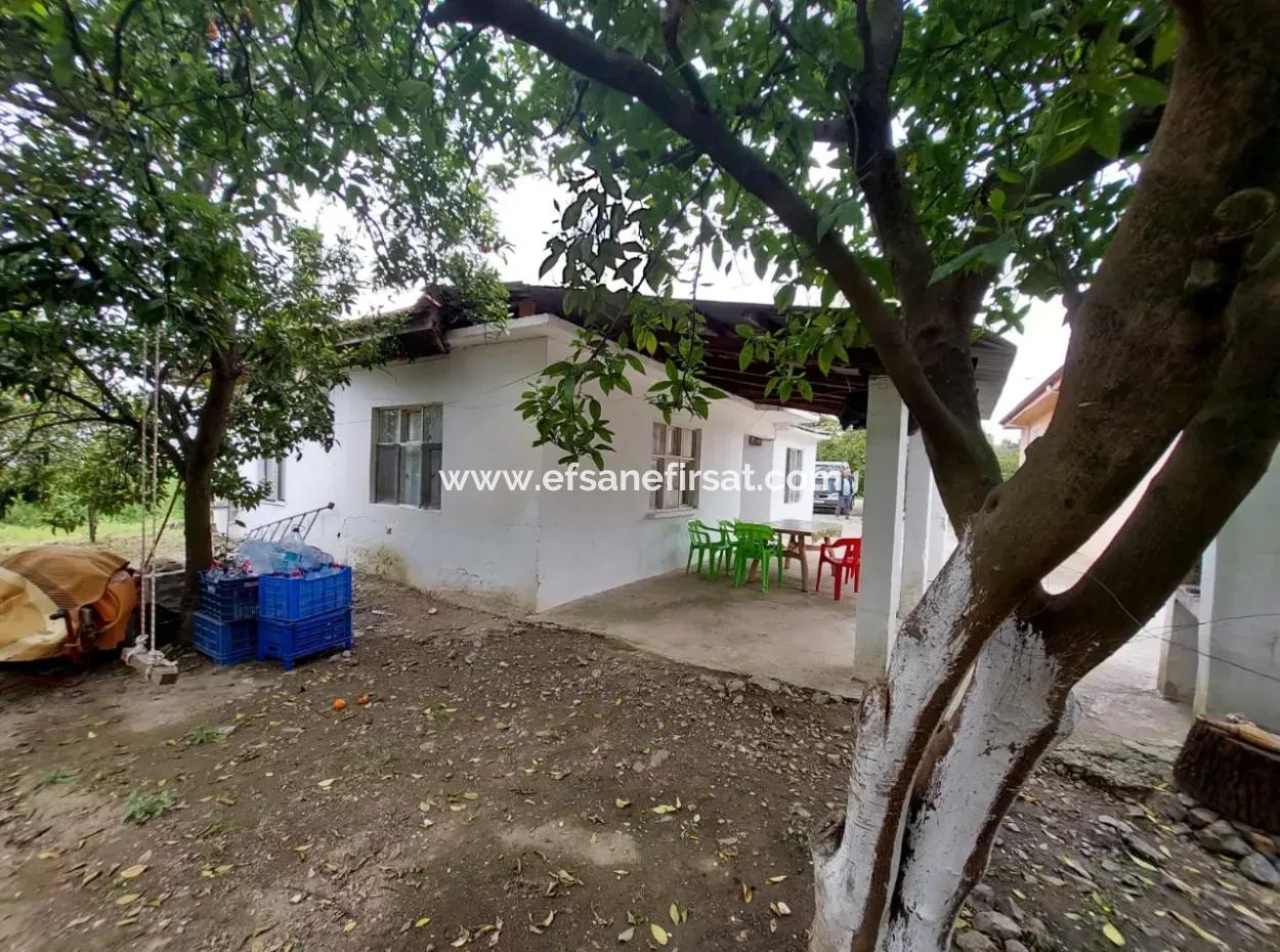 Dorfhaus Und Bauernhof Zum Verkauf Auf 6.650 M² Fruchtbarem Land In Muğla Köyceğiz Pappel