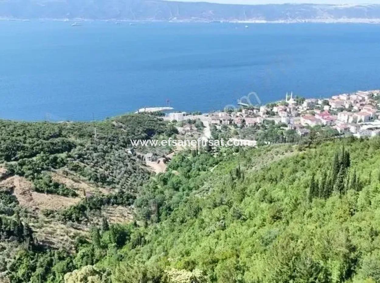 7.534 M² Meerblick Investitionsmöglichkeit Freistehendes Grundstück Zum Verkauf In Kocaeli Ereğli
