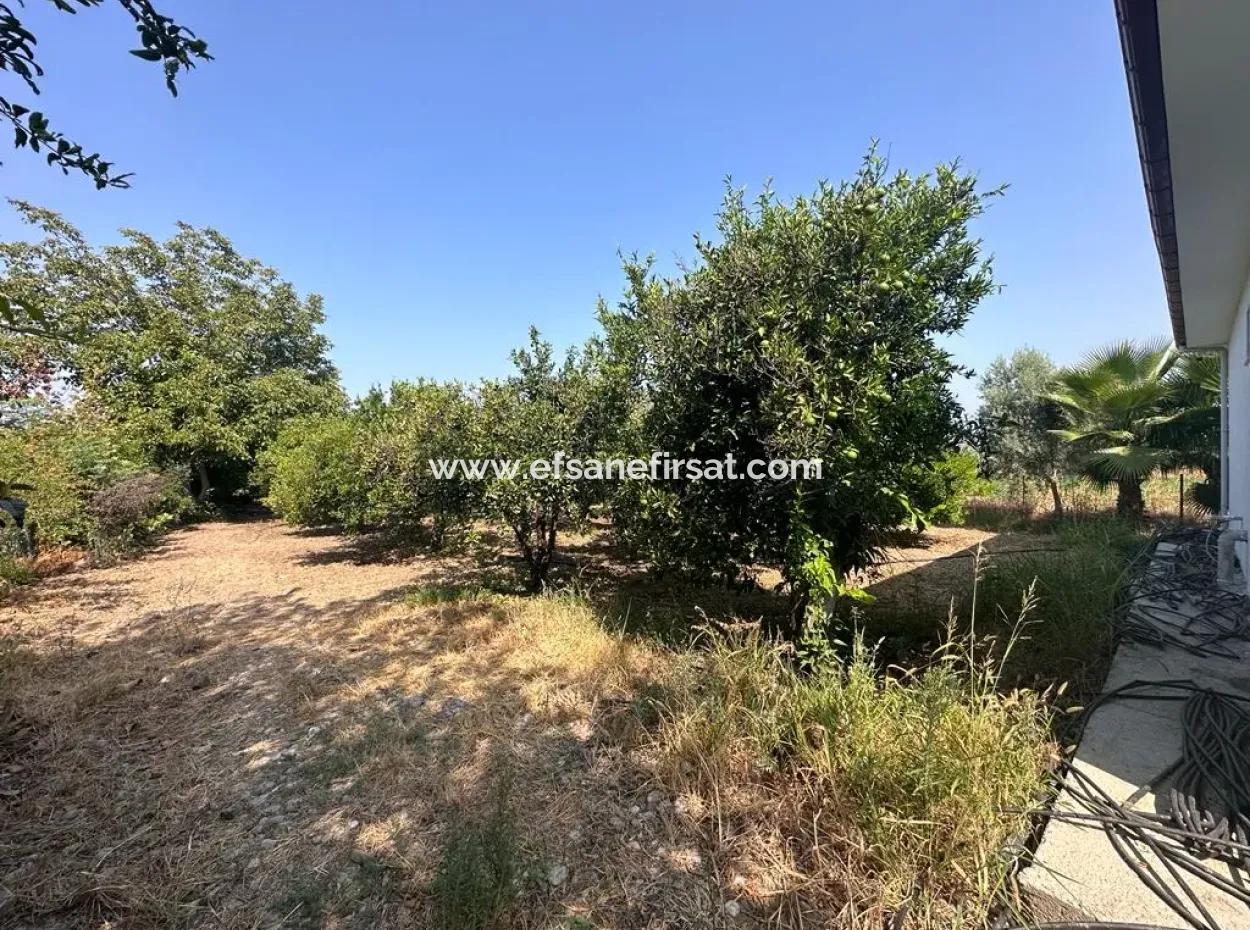 3 1 Möbliertes Einfamilienhaus Zu Vermieten