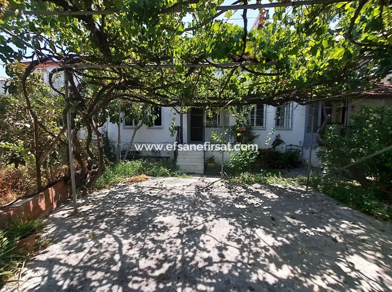 2 1 Roof Duplex Apartment Zur Miete In Dalyan, Muğla