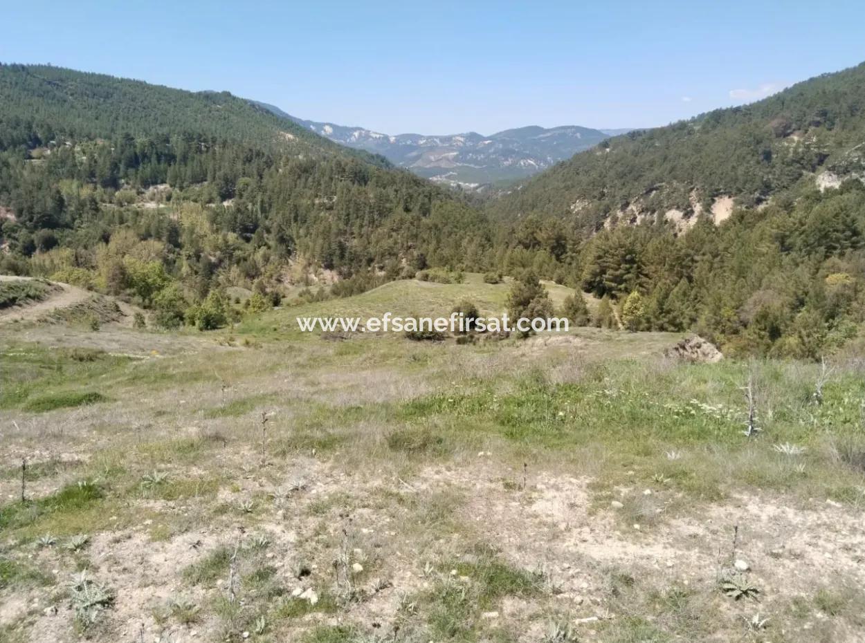 Çameli Kolakta Schnäppchen 20 000 M2 Freistehende Eigentumsurkunde Land Steht Zum Verkauf Oder Tausch.