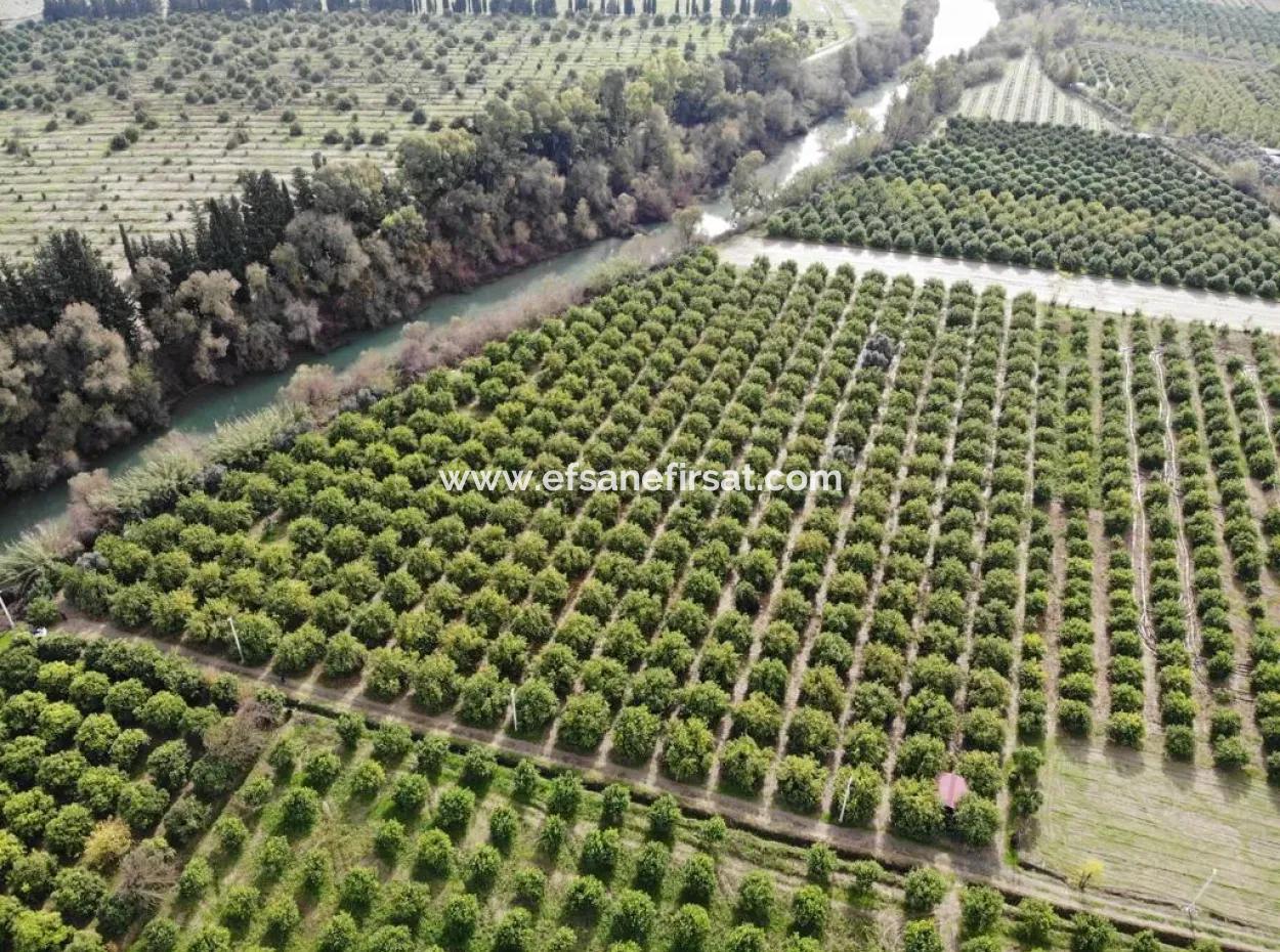 18 Hektar Land Zum Verkauf In Muğla Ortaca Akıncı