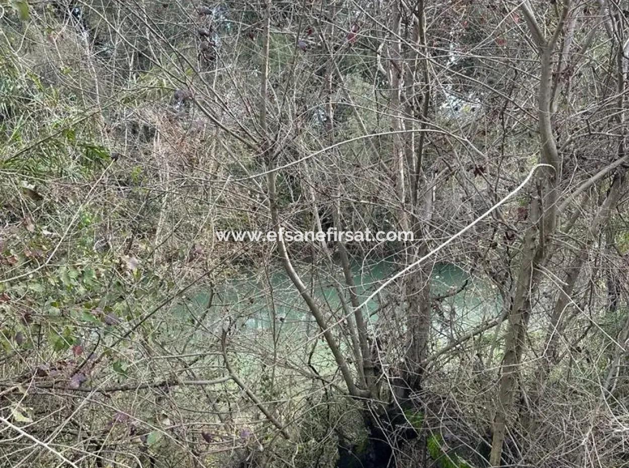 18 Hektar Land Zum Verkauf In Muğla Ortaca Akıncı