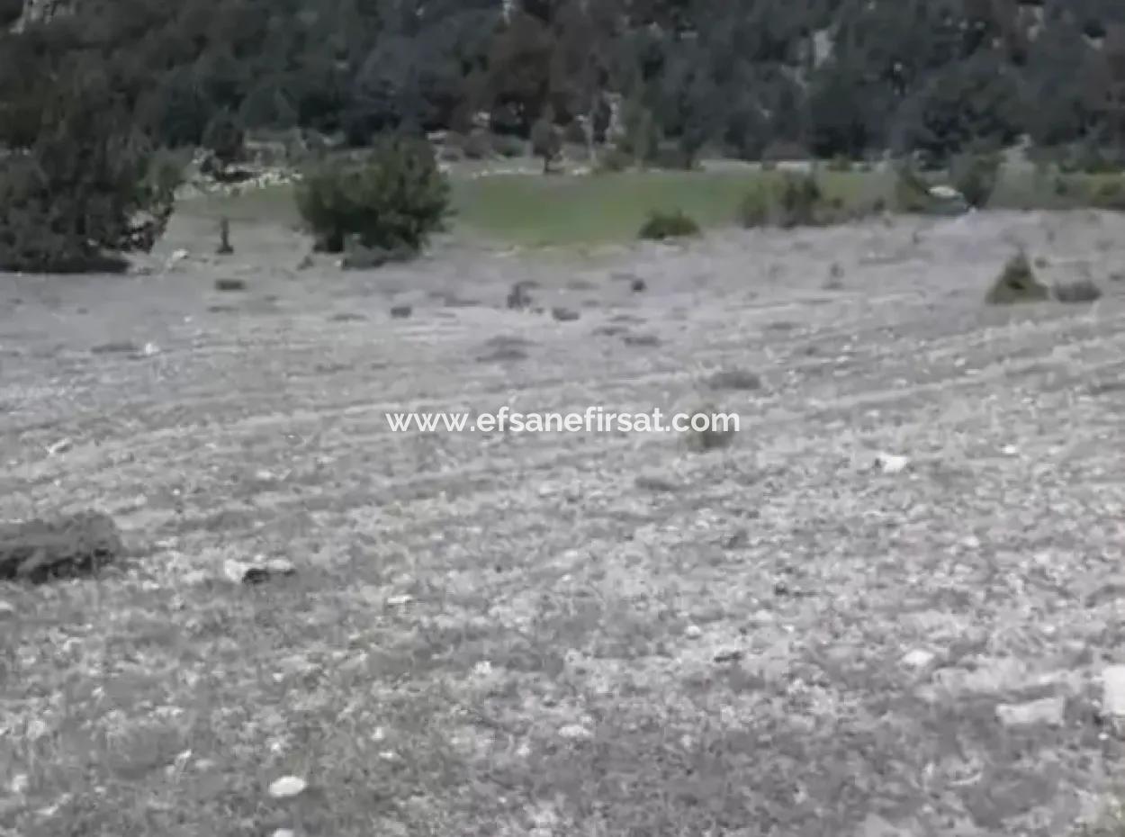2030 M2 Feld Zum Verkauf In Çameli Ayvacık