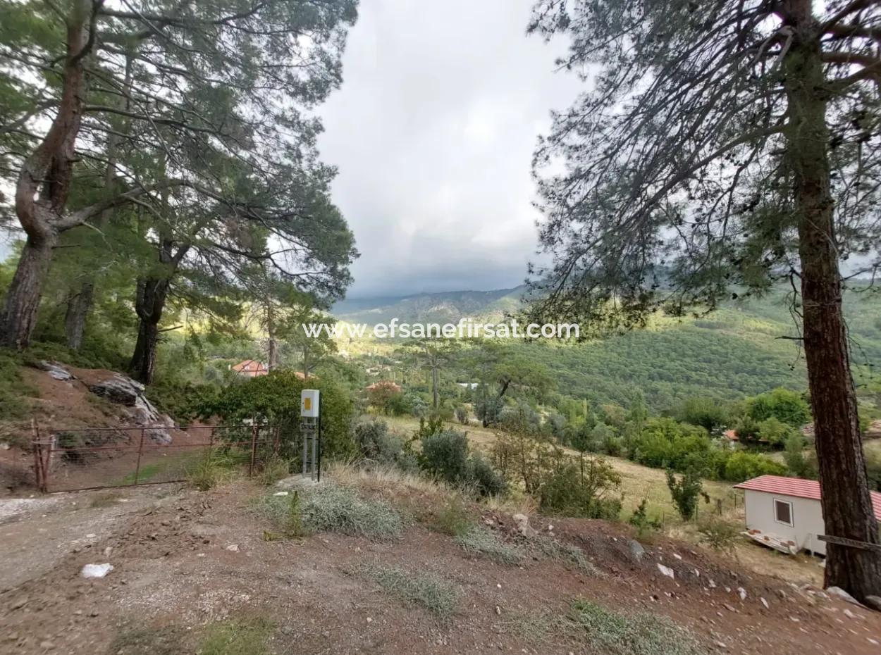 Muğla Köyceğiz Ağla - 535 M2 Grundstück Und Tiny House Haus Zum Verkauf Auf Dem Plateau