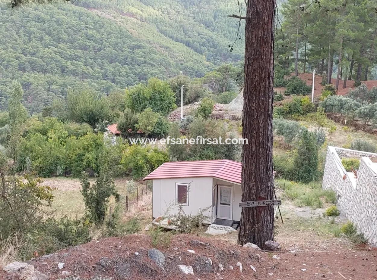 Muğla Köyceğiz Ağla - 535 M2 Grundstück Und Tiny House Haus Zum Verkauf Auf Dem Plateau