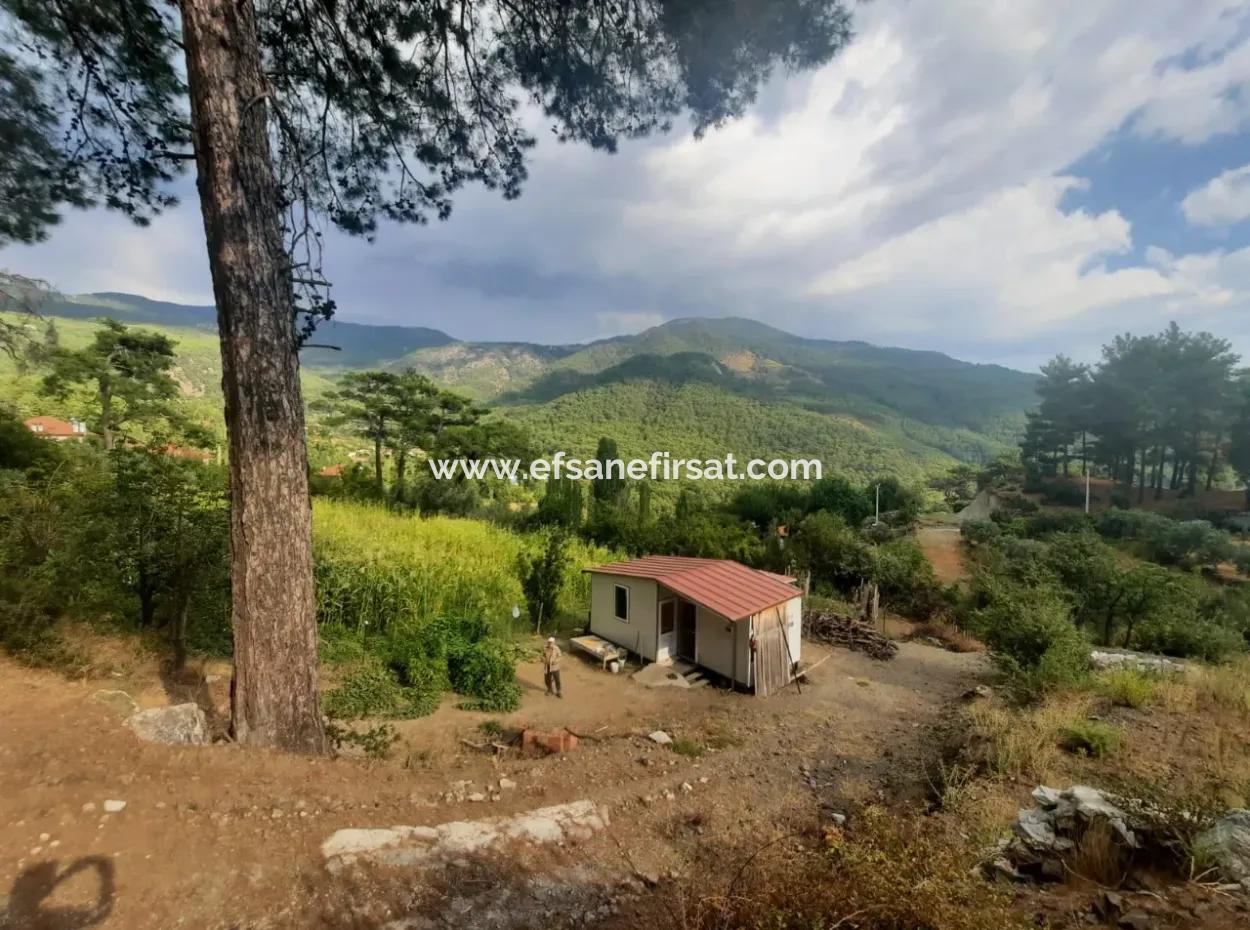Muğla Köyceğiz Ağla - 535 M2 Grundstück Und Tiny House Haus Zum Verkauf Auf Dem Plateau