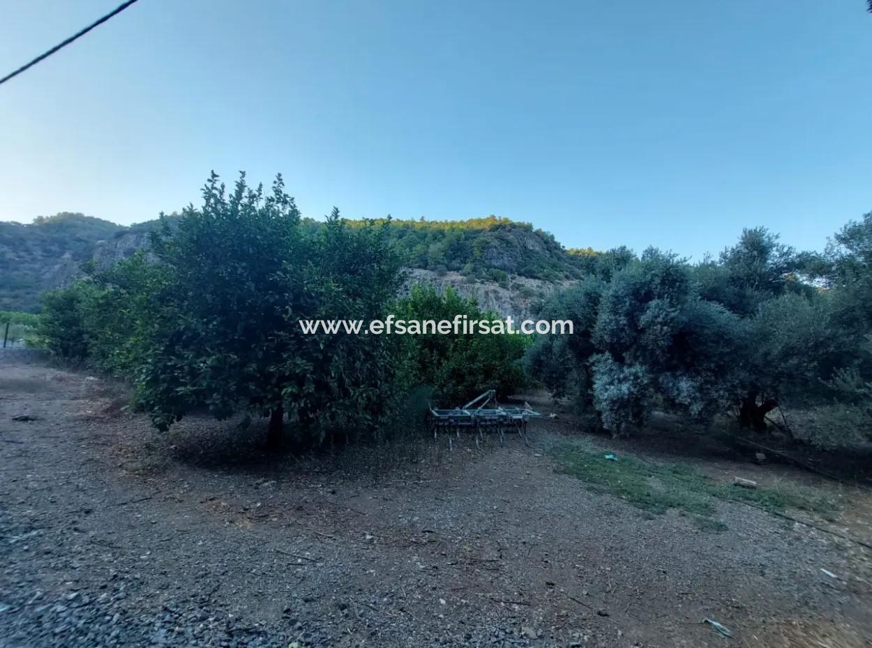 1.300 M2 Freistehendes 250M2 Wohngrundstück Zum Verkauf In Muğla, Ortaca, Karadonlar