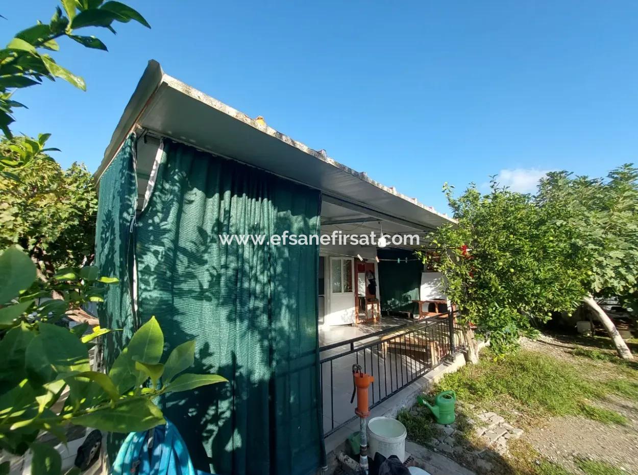 130 M2, 2 1 Dorfhaus Auf 1 330 M2 Freistehendem Grundstück In Ortaca Ekşiliyurt Zu Verkaufen Oder Teilweise Gegen Eine Wohnung Auszutauschen