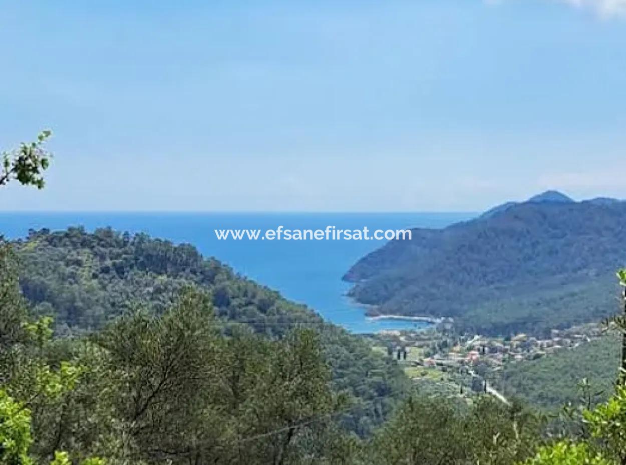 720 M² Olivenhain Mit Meerblick Zum Verkauf In Köyceğiz Ekincik, Muğla