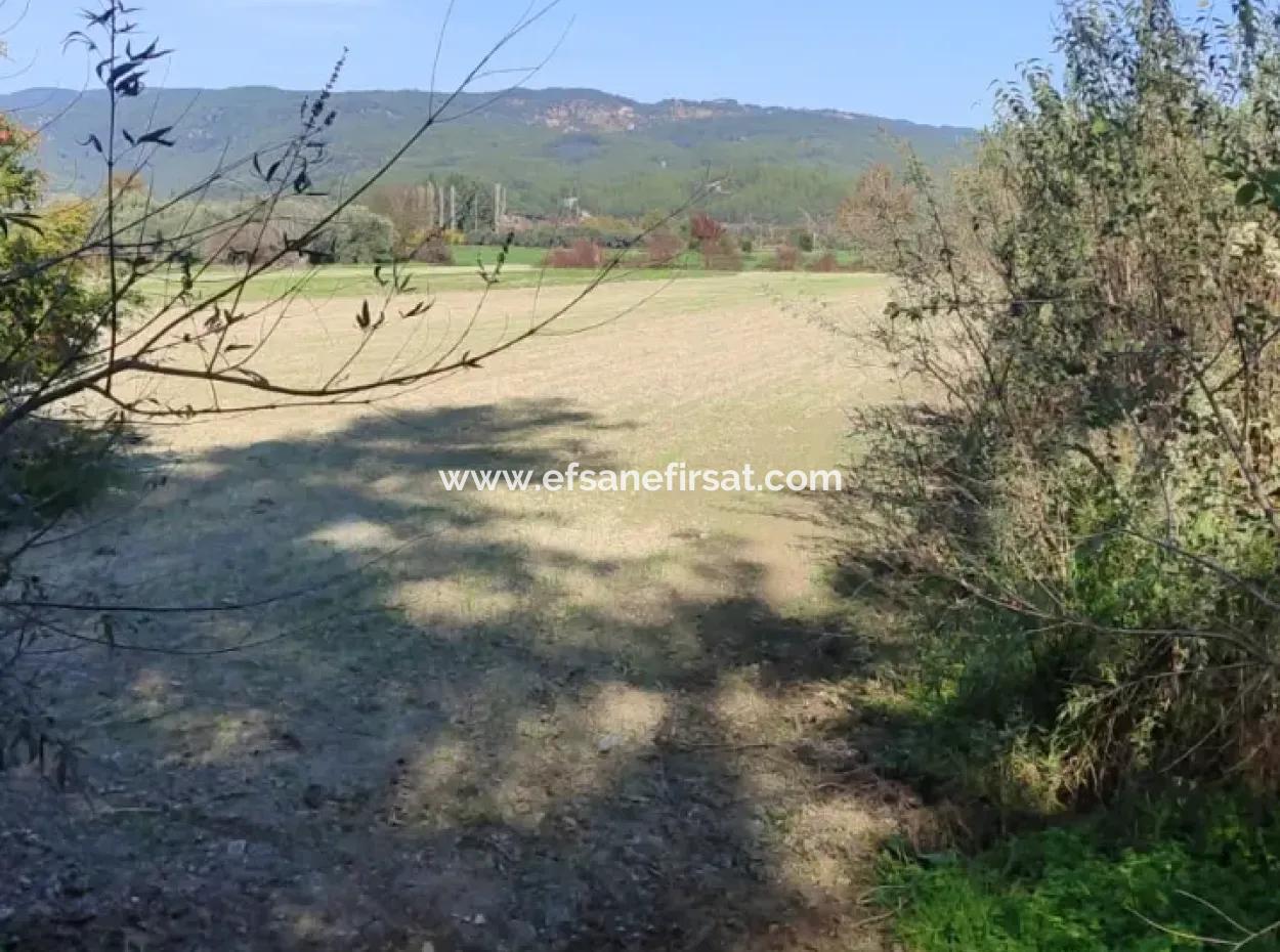 Schnäppchen 6.000 M² Land Zum Verkauf In Muğla Ula Karabörtlende