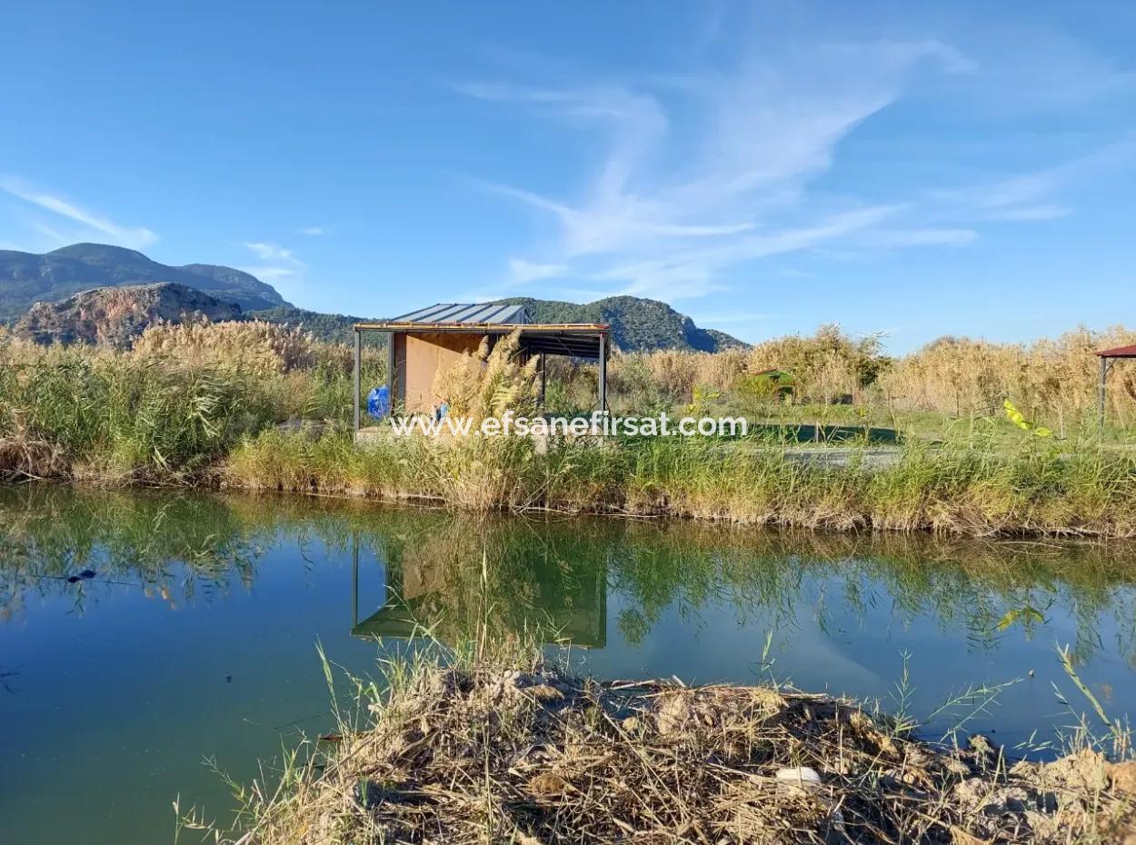 Container Mit Bootsliegeplatz Am Kanal In Muğla Ortaca Dalyan – Zum Verkauf