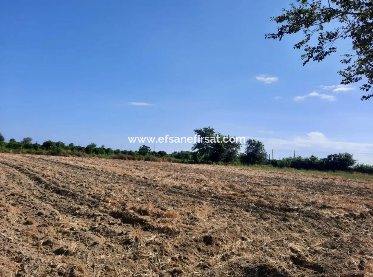 Oriya Fevziye Land Zum Verkauf In Null-Straße
