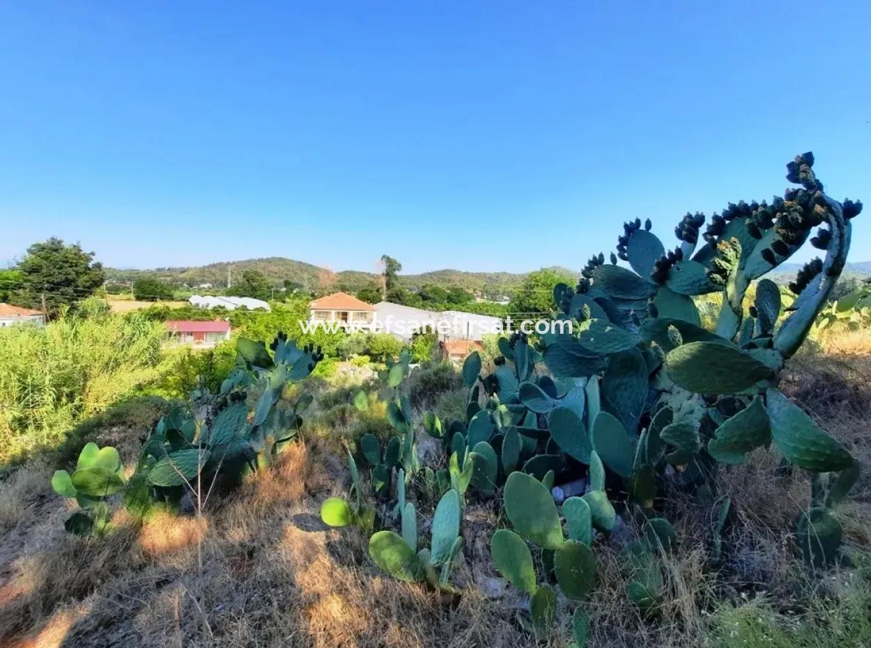 Grundstück Mit Meerblick Zum Verkauf In Fethiye Ciftlikkoy