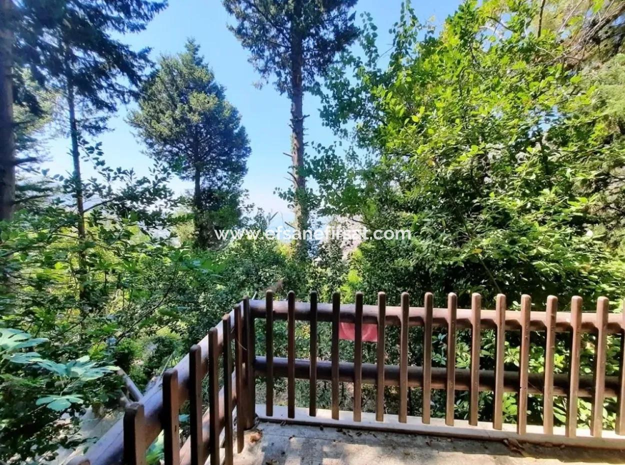 Fethiye Faralya Natur- Und Stein Boutique Hotel Zum Verkauf Mit Voll Ausgestattet Und Zertifiziert