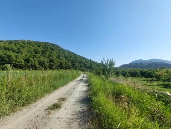 73.500 M² Granatapfelgarten, Geeignet Für Investitionen In Ortaca Dalyan Zu Verkaufen