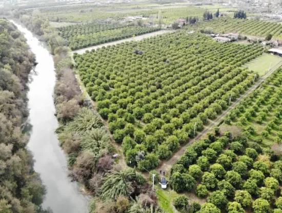 18 Hektar Land Zum Verkauf In Muğla Ortaca Akıncı
