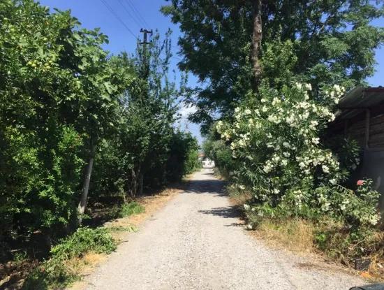 Villa-358 M2 Grundstück Zum Verkauf In Oriya Auch