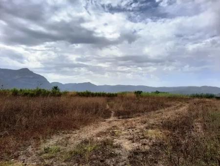 Fruchtbares Land Zu Verkaufen In Ortaca Eskiköy