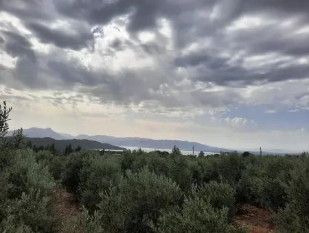 Land Mit Seeblick Zum Verkauf In Köycee'iz Zeytin Bereich