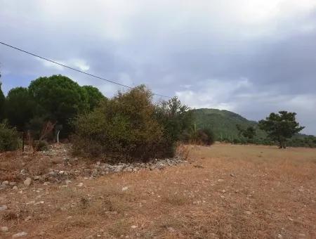 Freistehendes Land Mit Seeblick Zum Verkauf In Köycee'iz Zeytin Bereich