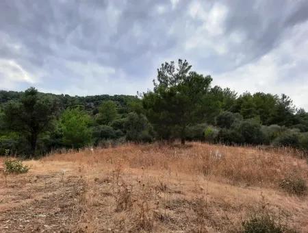 Mugla Ortaca Sar-Germe 880 M2 Voll Meer Und Natur Blick Grundstück Zu Verkaufen