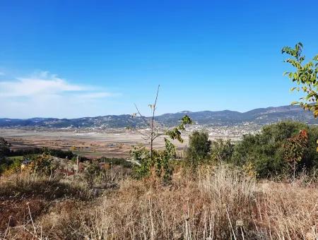 Denizli Çameli Kizilyaka Schmetterling Land Und Dorfhaus Mit Hundeblick Zum Verkauf