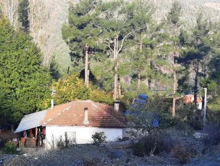 Mugla Dalaman Narli 1800 M2 Schnäppchen Land Zu Verkaufen