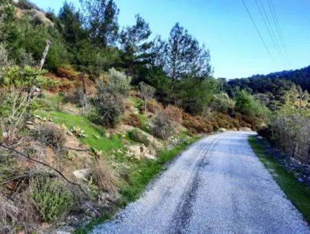 Mugla Dalyan Gokbel 1700 M2 Freistehendes Land Und Bungalow Mit Blick Auf Die Natur