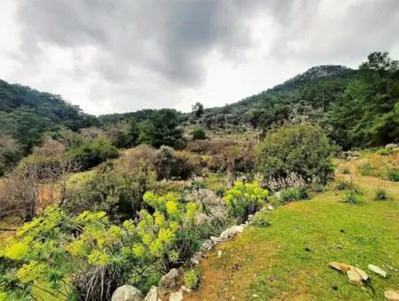 Dalyan Gökbel 13.100 M2 Acker Zum Verkauf In Der Natur