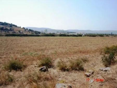 Mugla Milas Farm 10 000 M2 Land Zum Sofortigen Verkauf