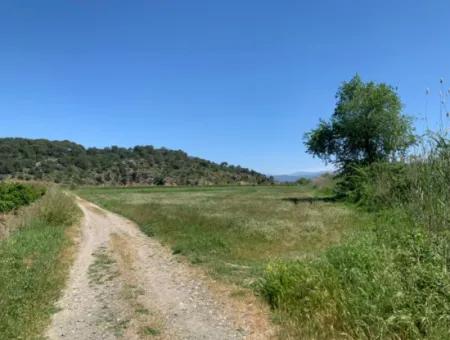 Schnäppchen Freistehendes Land Zum Verkauf In Ortaca Güzelyurt