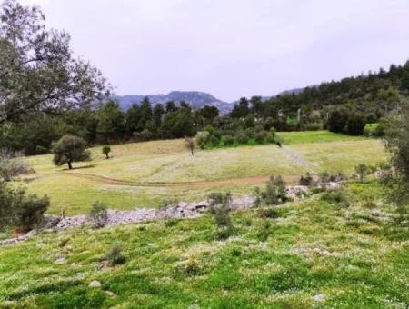 Freistehendes Dorfhaus In Der Natur Zu Verkaufen In Fethiye Gocek Ta'basi