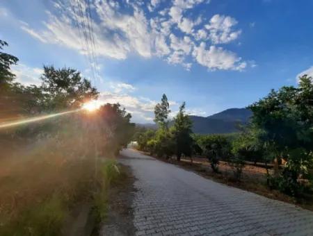 1080 M2 Flächen Zu Verkaufen In Köyceiz Toparlar