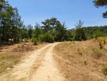 3031 M2 Freistehendes Feld Zu Verkaufen In Mugla Mentese Denizova